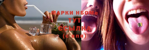 СК Алексин
