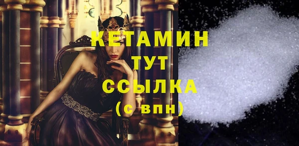 СК Алексин